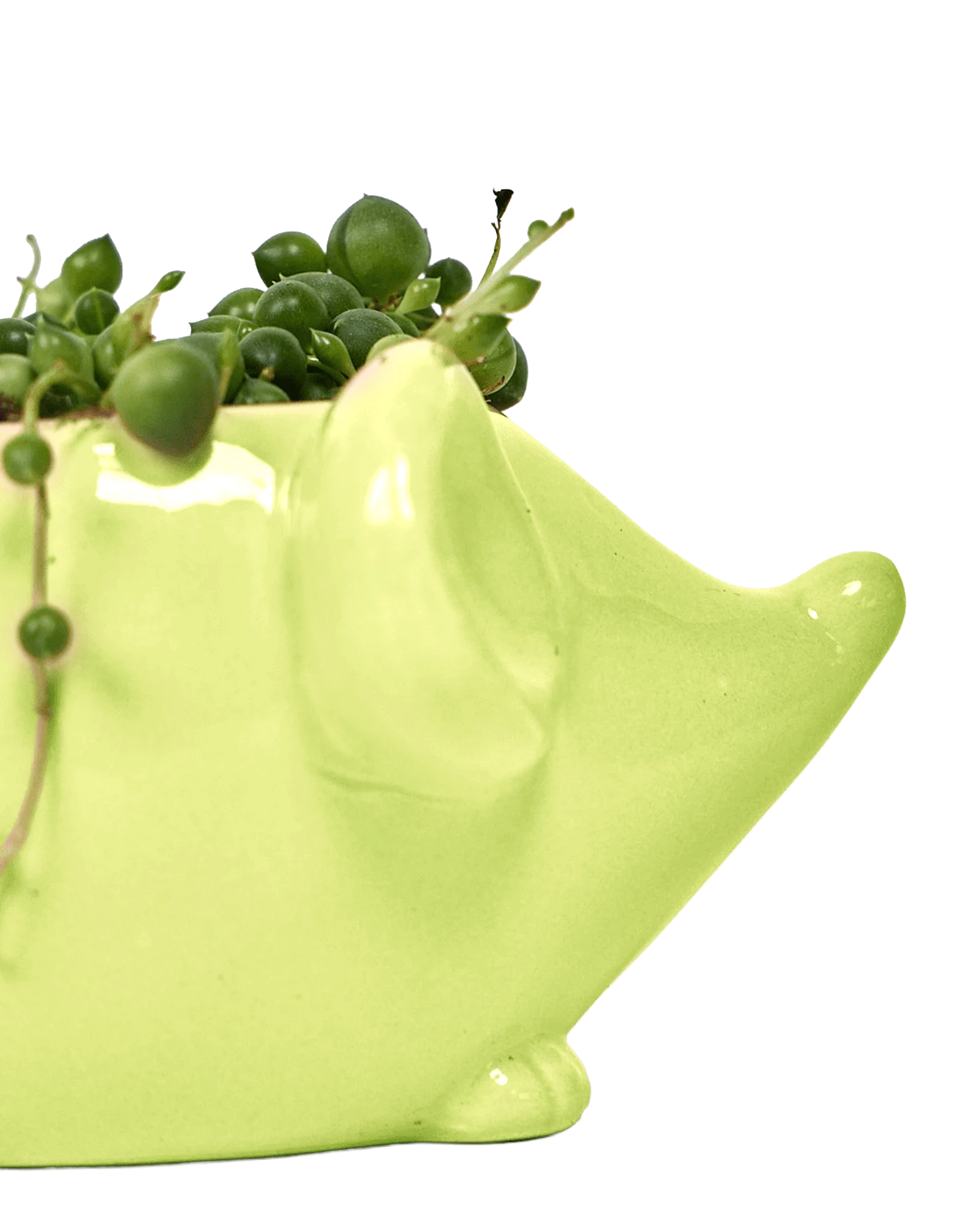 Close-up of the glossy glazed finish on a Chive Mouse Chartreuse color ceramic planter.