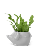 Chive Mouse Grey color glazed ceramic mouse shaped planter styled with a plant.