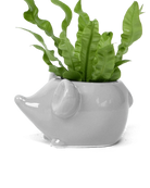 Chive Mouse Grey color glazed ceramic mouse shaped planter styled with a plant.