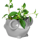 Side view of Chive Mouse Grey color glazed ceramic mouse shaped planter styled with a plant.