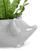 Close-up of the glossy glazed finish on a Chive Mouse Grey color ceramic planter.