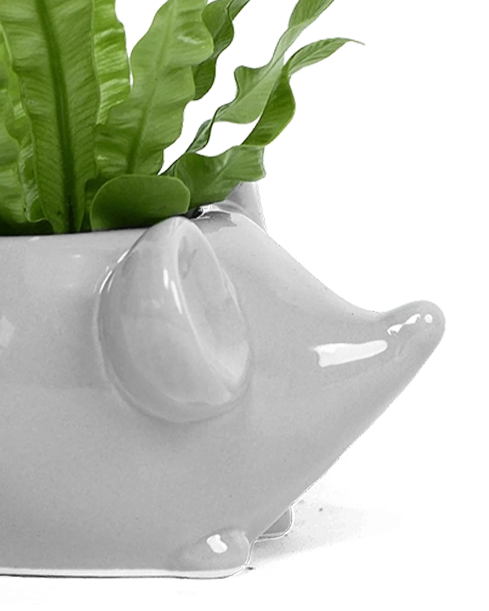 Close-up of the glossy glazed finish on a Chive Mouse Grey color ceramic planter.
