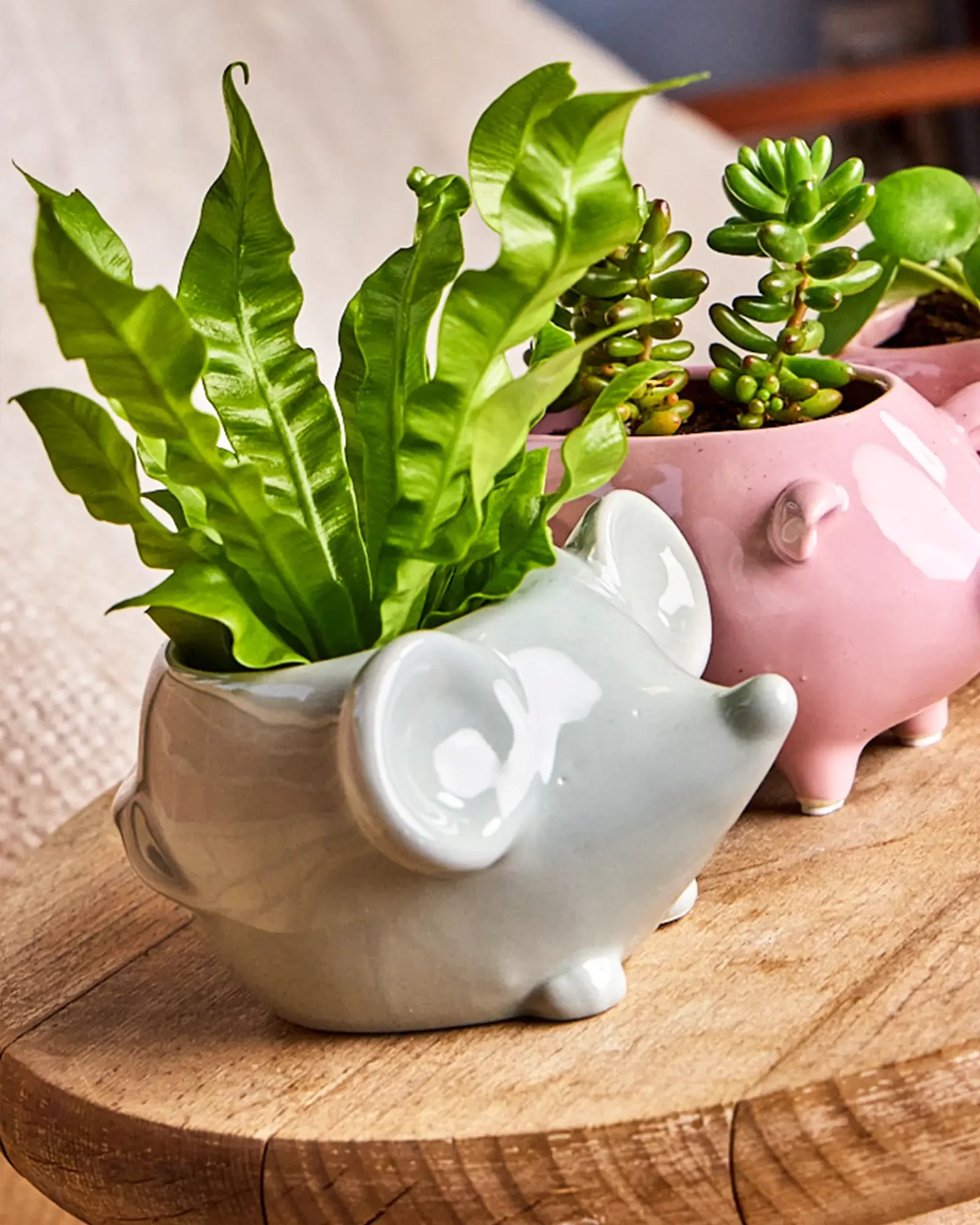 Three Chive Mouse glazed ceramic mouse shaped planters styled with plants on a wood table in a bright room.