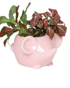 Chive Mouse Pink color glazed ceramic mouse shaped planter styled with a plant.