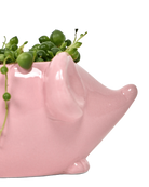 Close-up of the glossy glazed finish on a Chive Mouse Pink color ceramic planter.