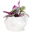 Chive Mouse White color glazed ceramic mouse shaped planter styled with a plant.