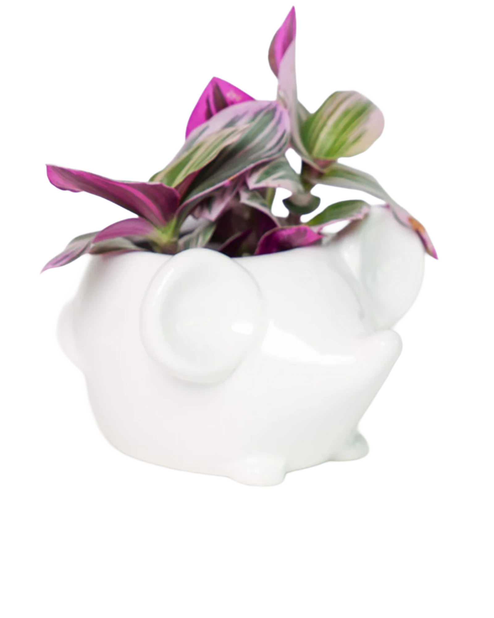 Chive Mouse White color glazed ceramic mouse shaped planter styled with a plant.