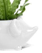 Close-up of the glossy glazed finish on a Chive Mouse White color ceramic planter.