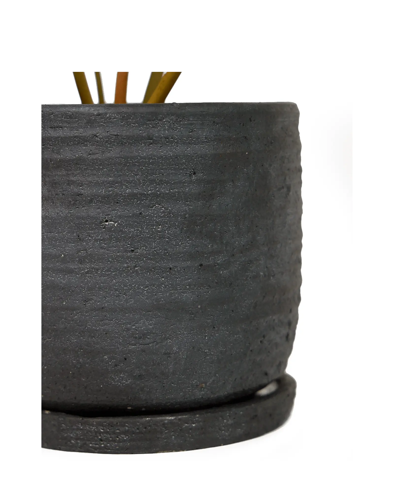 Close-up of the detachable saucer and ribbed texture on a Chive Paul black ceramic pot.
