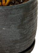 Close up of Chive Paul charcoal ribbed ceramic small planter with drainage and saucer showing ribbed finish and texture.