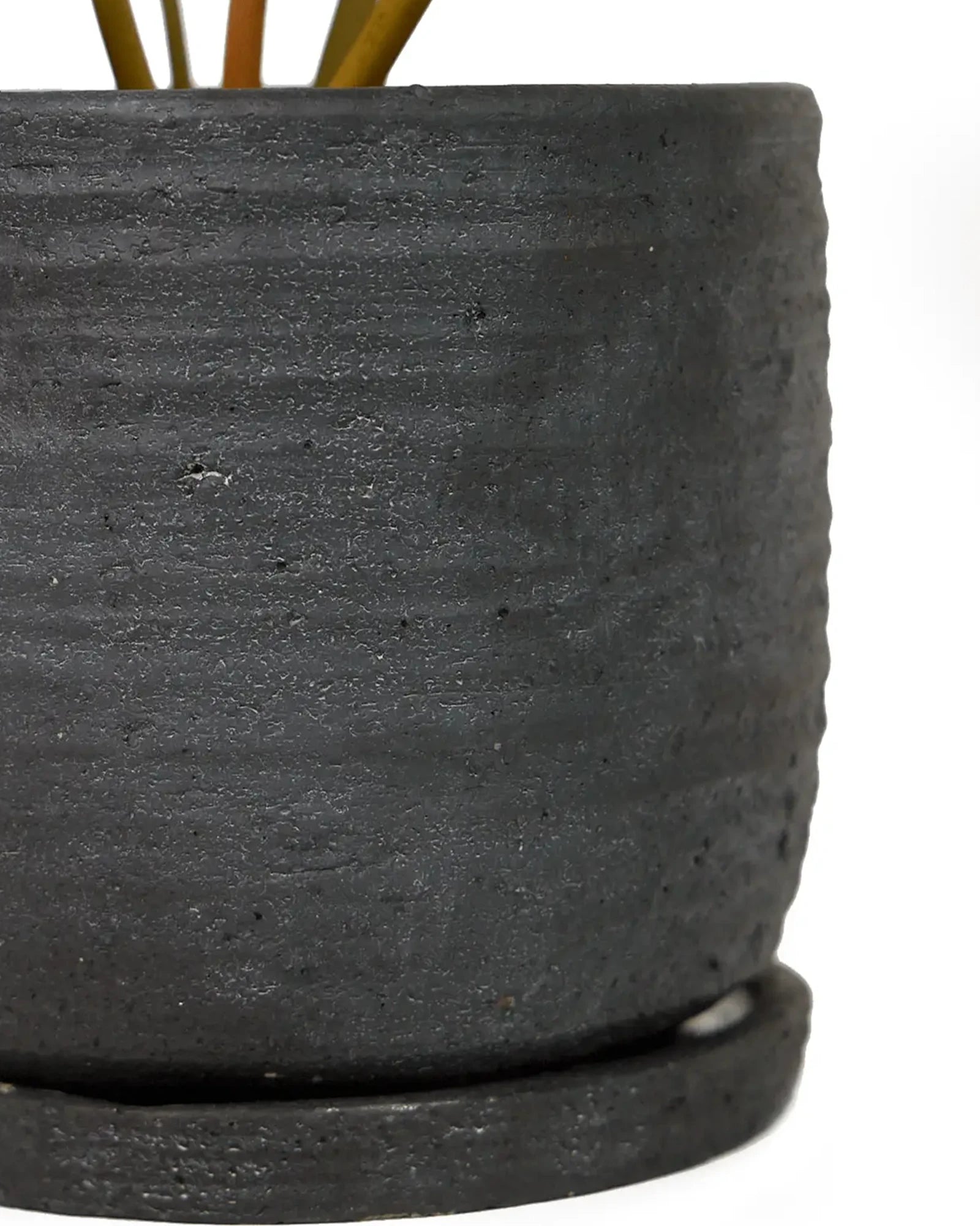 Cloe up of Chive Paul charcoal ribbed ceramic small planter with drainage and detachable saucer, showing ribbed texture.