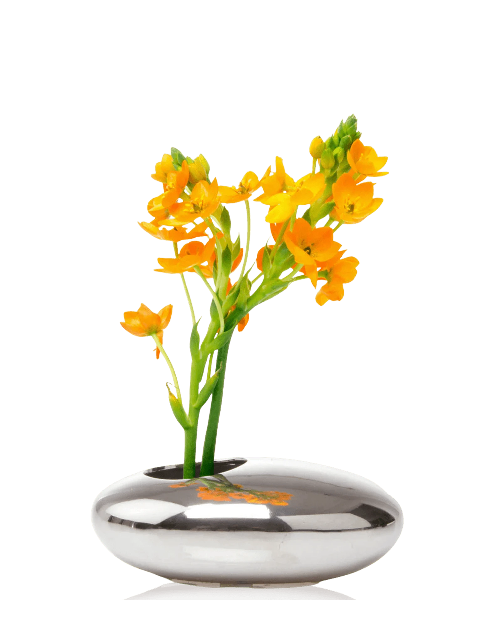 Chive Pebble silver color ceramic Ikebana Kenzan container styled with fresh flowers.