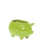 Chive Pig Chartreuse color ceramic pig shaped succulent planter with no drainage.