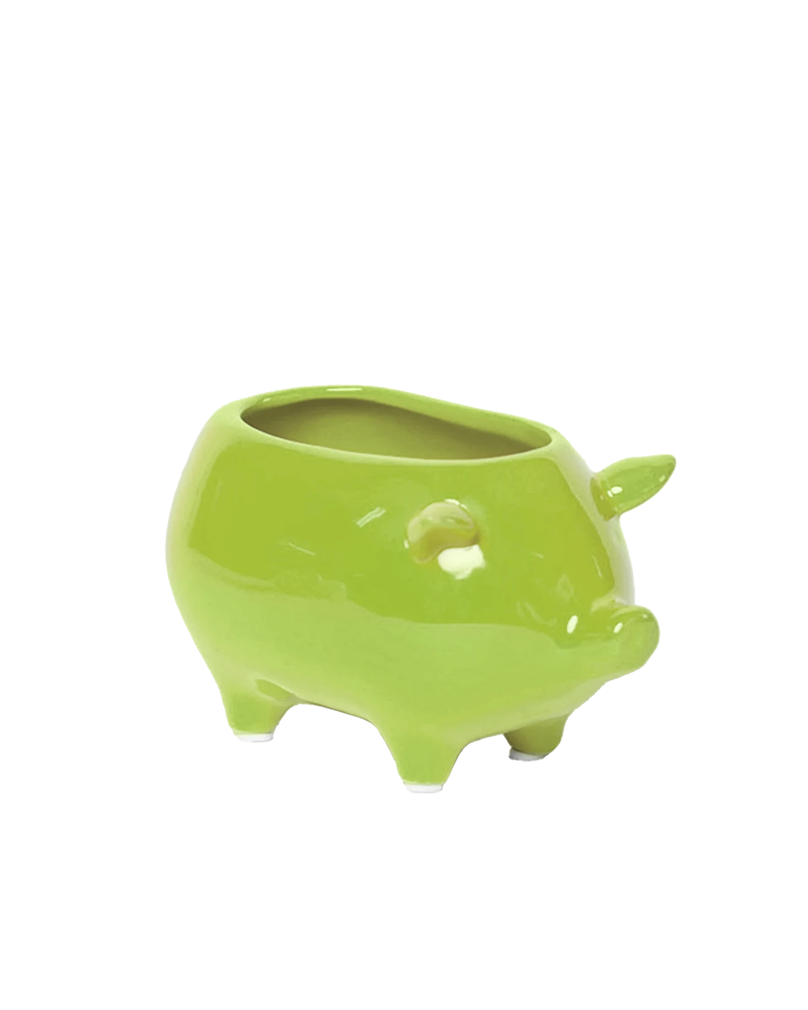 Chive Pig Chartreuse color ceramic pig shaped succulent planter with no drainage.