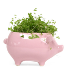 Chive Pig Pink color glazed ceramic pig shaped planter styled with a plant.