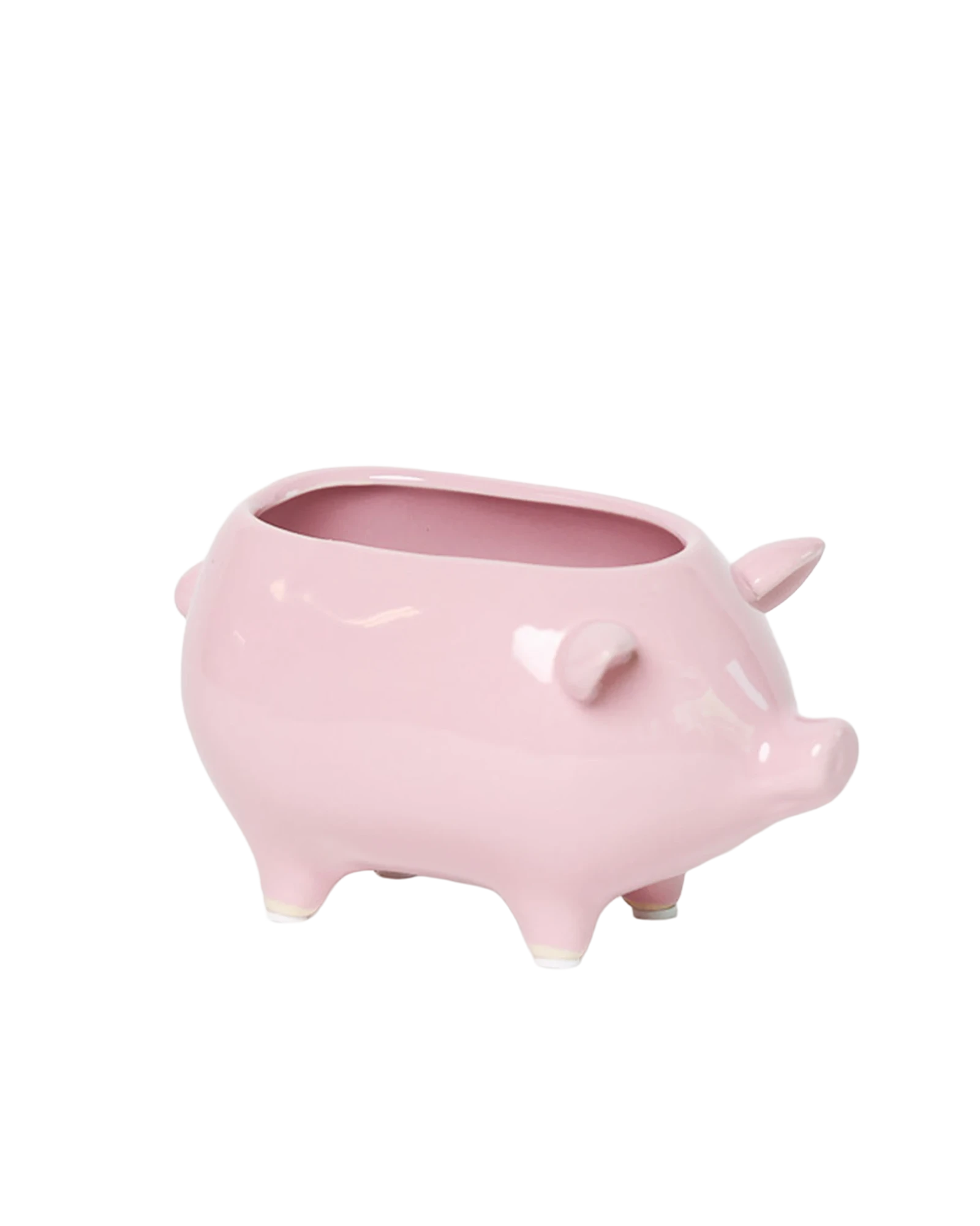 Chive Pig Pink color ceramic pig shaped succulent planter with no drainage.
