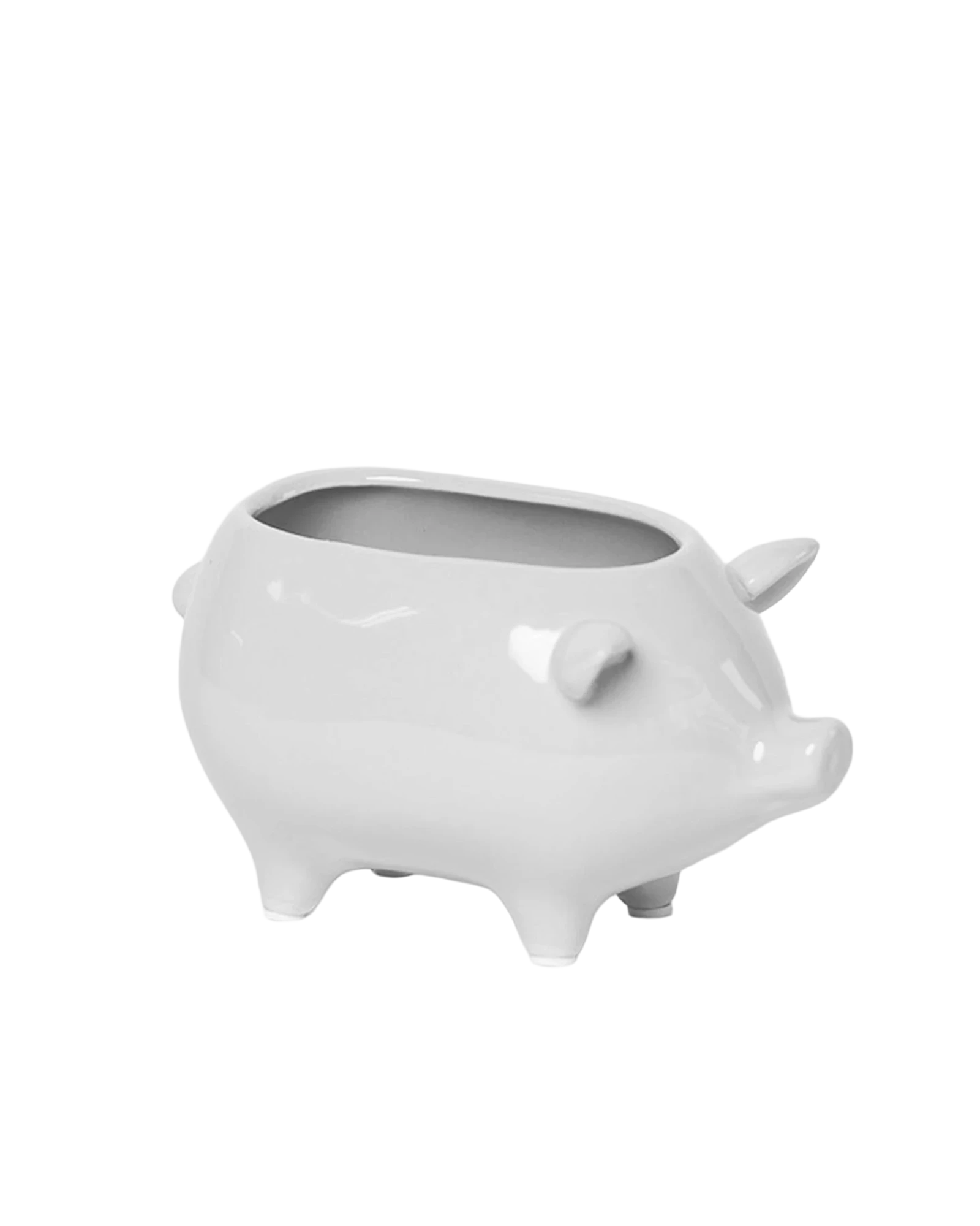 Chive Pig White color ceramic pig shaped succulent planter with no drainage.