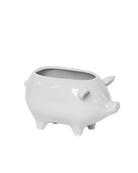 Chive Pig White color ceramic pig shaped succulent planter with no drainage.