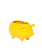 Chive Pig Yellow color ceramic pig shaped succulent planter with no drainage.