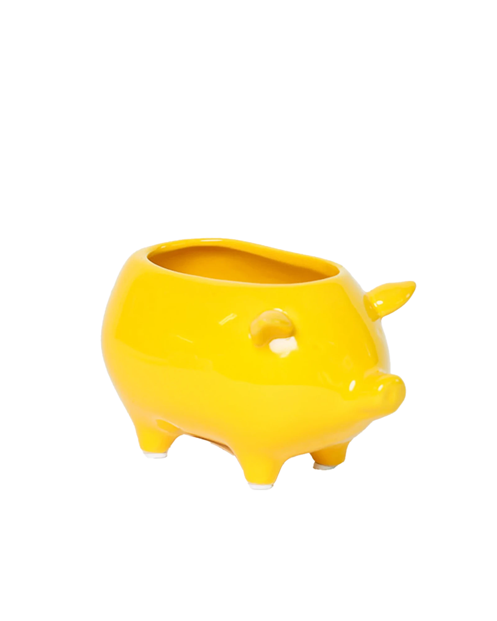 Chive Pig Yellow color ceramic pig shaped succulent planter with no drainage.
