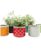 Multiple Chive Pina glazed ceramic diamond-textured planters in multiple colors styled with plants.