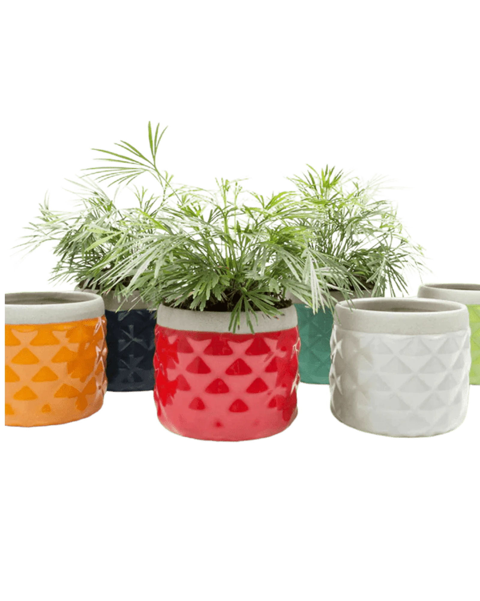 Multiple Chive Pina glazed ceramic diamond-textured planters in multiple colors styled with plants.