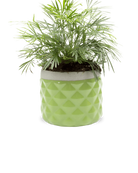 Chive Pina fern color ceramic diamond-textured planter pot styled with a plant, with no drainage.