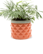Chive Pina ginger color ceramic diamond-textured planter pot styled with a plant, with no drainage.