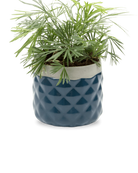 Chive Pina midnight blue ceramic diamond-textured planter pot styled with a plant, with no drainage.