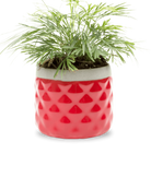 Chive Pina red ceramic diamond-textured planter pot styled with a plant, with no drainage.