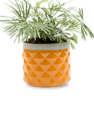 Chive Pina rust color ceramic diamond-textured planter pot styled with a plant, with no drainage.