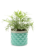 Chive Pina seafoam color ceramic diamond-textured planter pot styled with a plant.