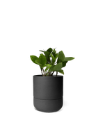Chive Ryan black ceramic self-watering pot with drainage and saucer styled with a plant.