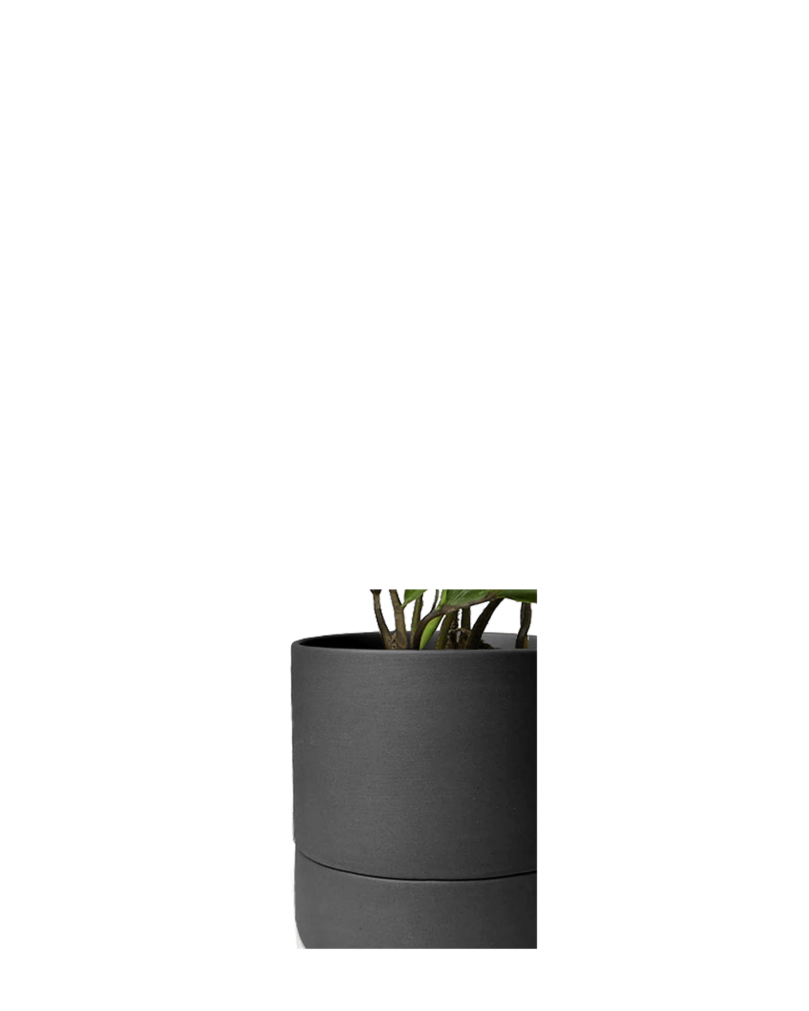 Close up of Chive Ryan black ceramic self-watering plant pot with drainage hole and detachable saucer.