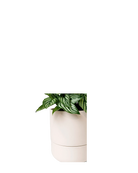 Close up of Chive Ryan blush pink ceramic self-watering plant pot with drainage hole and detachable saucer.