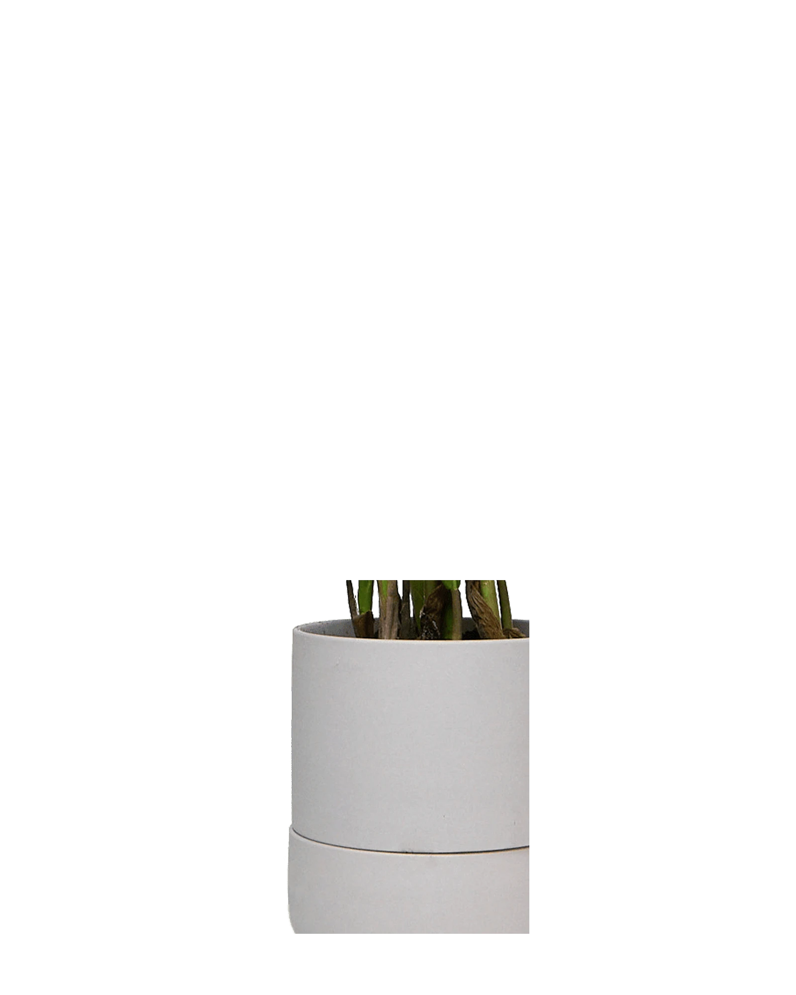 Close up of Chive Ryan grey ceramic self-watering plant pot with drainage hole and detachable saucer.