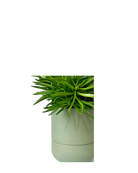 Close up of Chive Ryan olive ceramic self-watering plant pot with drainage hole and detachable saucer.