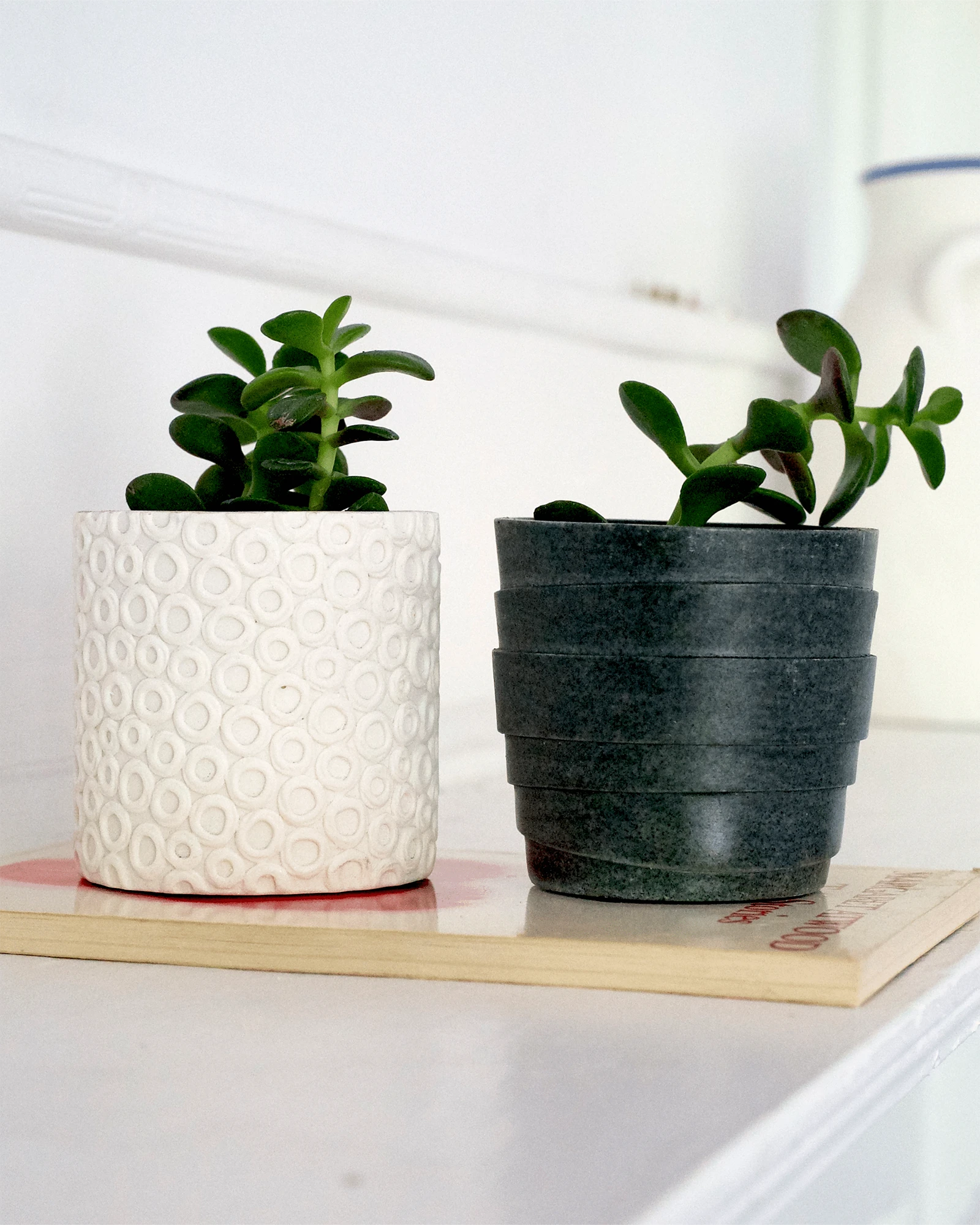 Two Chive Stagma resin planters in white and black styled with plants on a white shelf.
