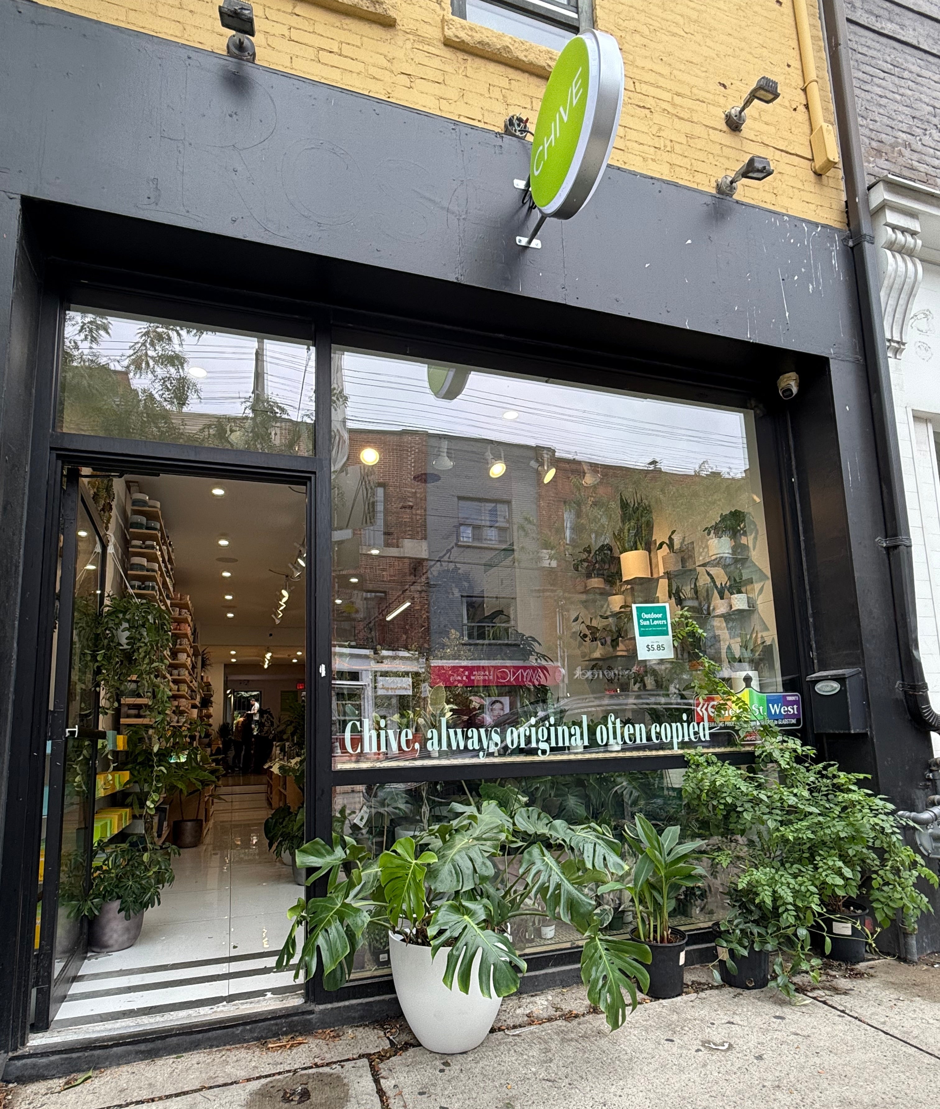 Chive Studio storefront at 702 Queen Street West Toronto with ceramic flowers and plants visible through glass windows and Chive logo sign above entrance — Chive Studio