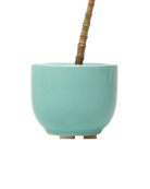 Chive Succulent Cup seafoam color ceramic plant pot styled with a plant.