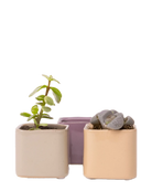 Three Chive Svek fully glazed ceramic planters in assorted colors styled with small plants.