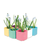 Multiple Chive Svek fully glazed ceramic planters in bright colors styled with small floral plants.