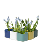 Multiple Chive Svek fully glazed ceramic planters in cold tone colors styled with small floral plants.