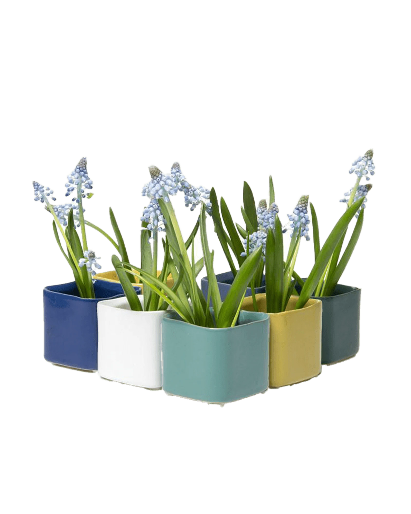 Multiple Chive Svek fully glazed ceramic planters in cold tone colors styled with small floral plants.