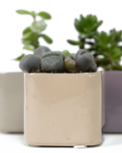 Three Chive Svek fully glazed ceramic planters in assorted colors styled with succulents.