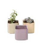 Three Chive Svek fully glazed ceramic planters in assorted colors styled with small plants.