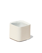 Chive Svek white color fully glazed ceramic planter with no drainage.
