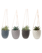 Chive Thimble porcelain hanging planters with no drainage in four color variations styled with succulents.