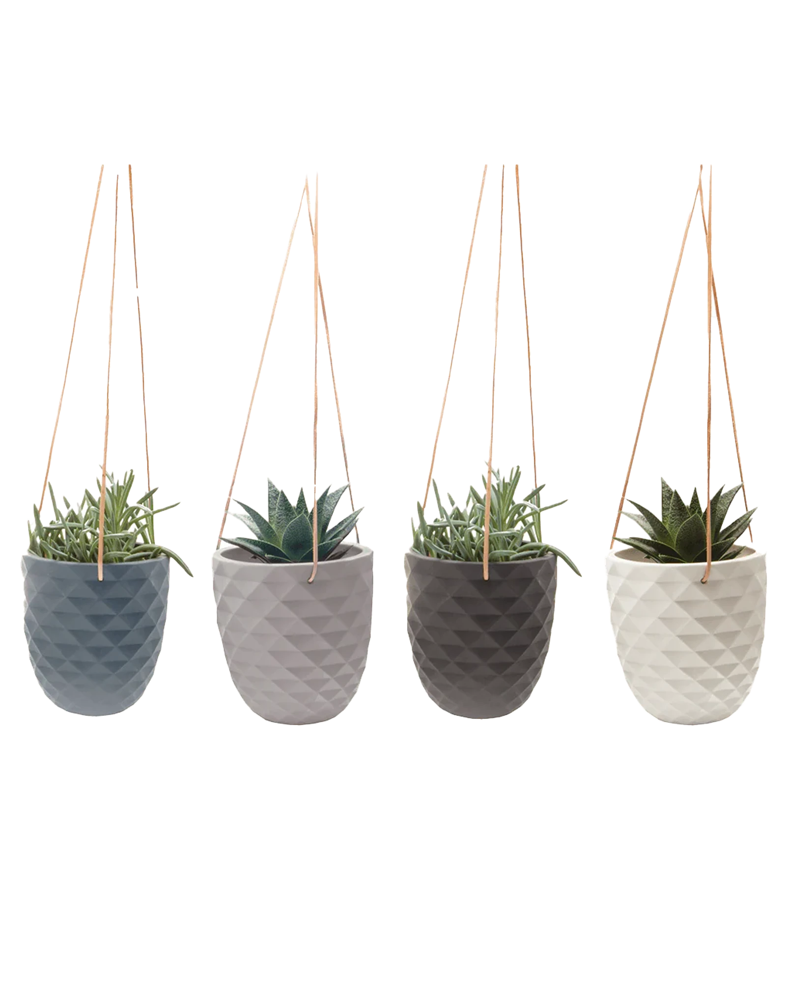 Chive Thimble porcelain hanging planters with no drainage in four color variations styled with succulents.