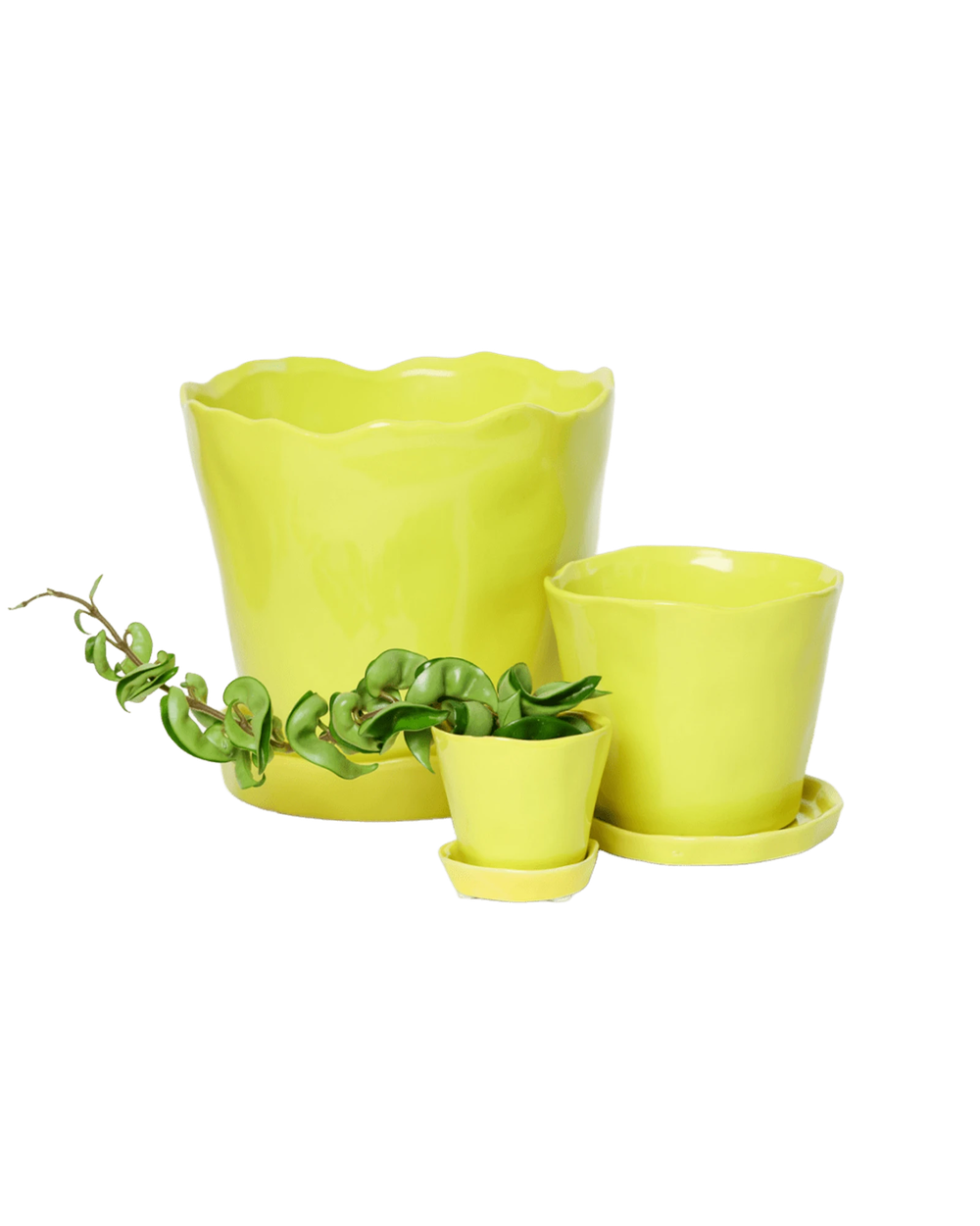 Chive Tika green sheen ceramic planters in small, medium, and large with saucers, styled with a plant.